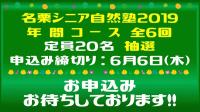 2019年度シニア　プレゼン　繁里作成.jpg